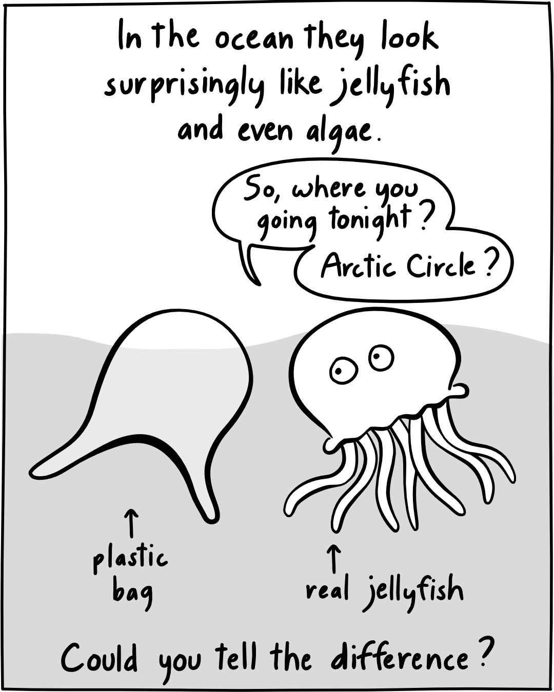 Jelly Talking Test2Panel
