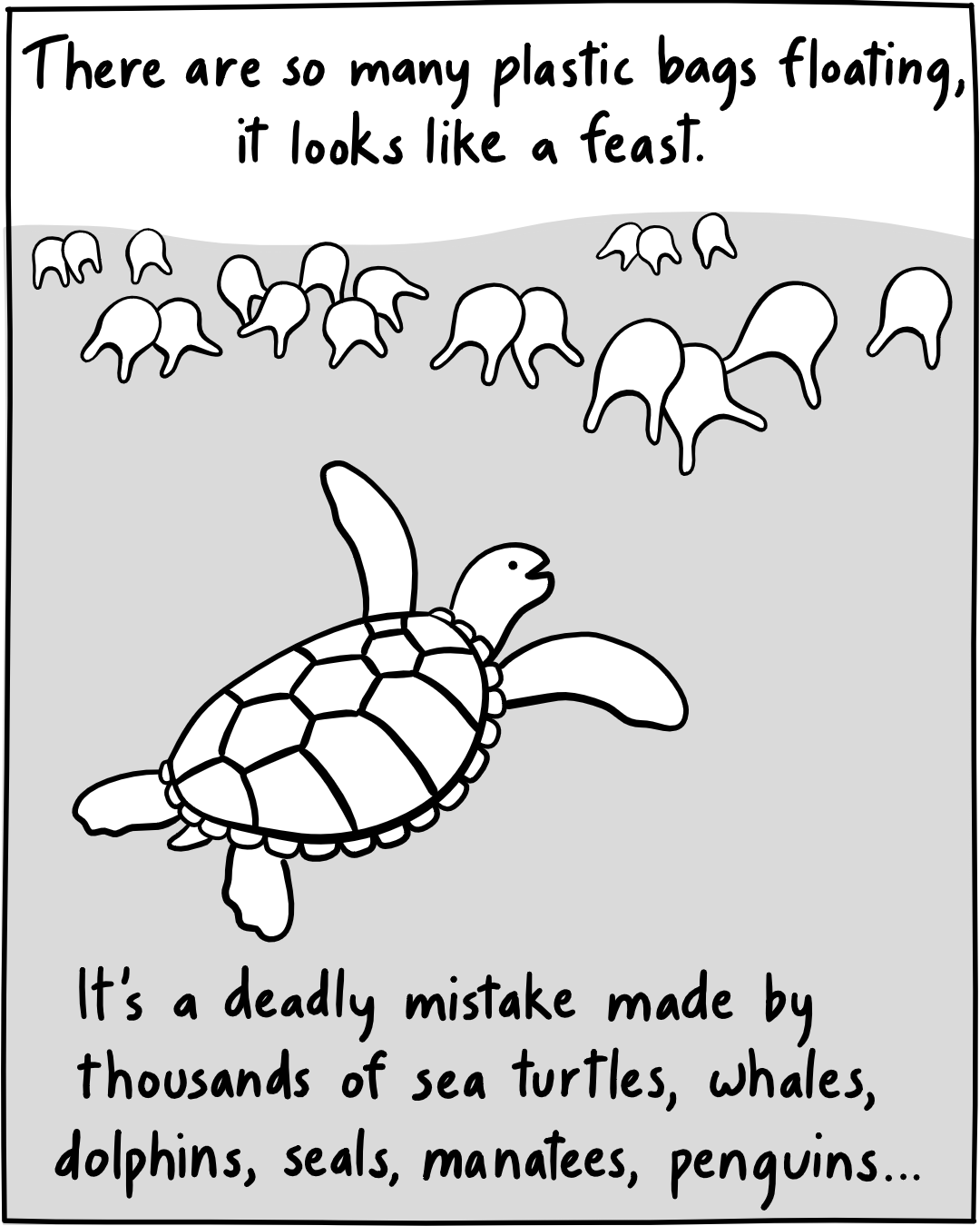 ReuB Turtle Swimming Test2Panel